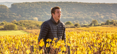 Quentin jeannot - Grand vin d'exception Domaine Jeannot