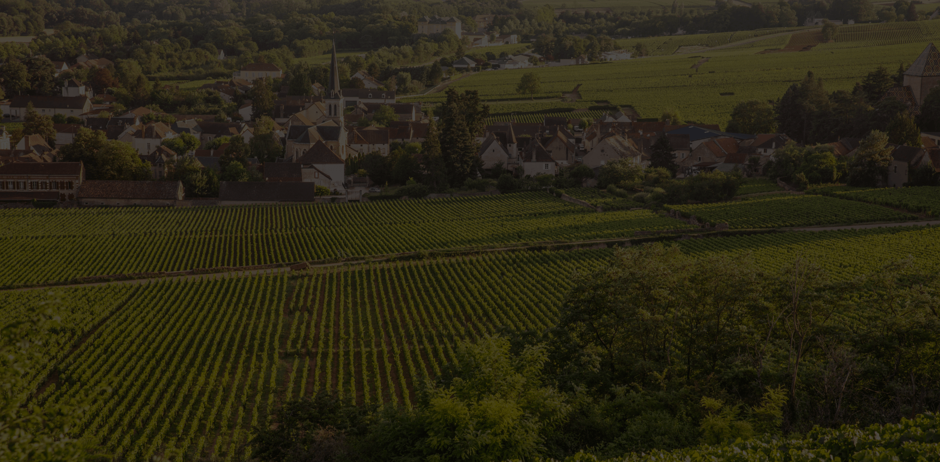 oenotourisme - Grand vin d'exception Domaine Jeannot